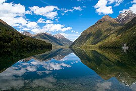 Lago Gunn.