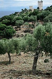 Πύργοι των Γατελούζων στην Παλαιόπολη