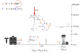 Main sources of environmental radioactivity.png