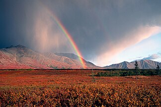 Rainbow over the Tundra