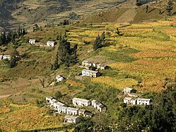 Terrasses à Bangali, village près de Nandaprayag, dans l'État himalayen d'Uttarakhand en Inde