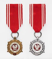 Medal „Siły Zbrojne w Służbie Ojczyzny”