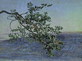 branch. Study for the painting