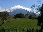 Grassy landscape with a volcanic peak in the background