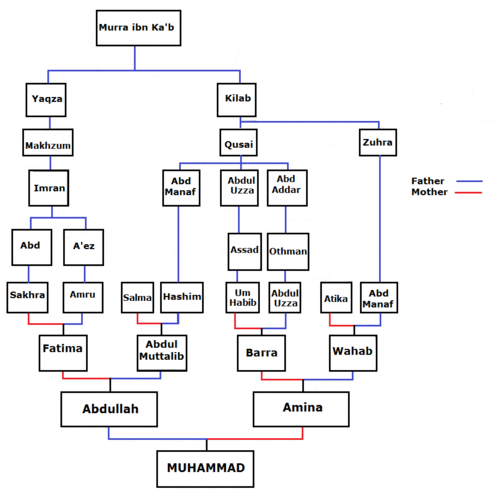 Muhammad's ancestors to Murrah