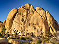 Image 8 Joshua Tree National Park, United States (from Portal:Climbing/Popular climbing areas)