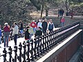 Walkers on the bridge before it was closed for railing repairs in 2006