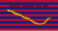 South Carolina naval ensign during Revolutionary and Civil Wars