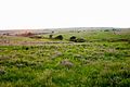 Image 9The Great Plains of Kansas (from Kansas)