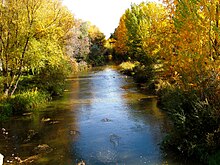 Rio Arlanzon in Fall.jpg