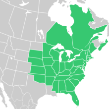 Symphyotrichum pilosum native distribution map: Canada — Nova Scotia, Ontario, and Québec; United States — Alabama, Arkansas, Connecticut, Delaware, District of Columbia, Florida, Georgia, Illinois, Indiana, Iowa, Kansas, Kentucky, Maine, Maryland, Massachusetts, Michigan, Minnesota, Mississippi, Missouri, Nebraska, New Hampshire, New Jersey, New York, North Carolina, Ohio, Oklahoma, Pennsylvania, Rhode Island, South Carolina, South Dakota, Tennessee, Vermont, Virginia, West Virginia, and Wisconsin