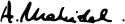 Ananda Mahidol's signature