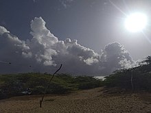 MASAS VISIBLES QUE CONTIENEN EN SU INTERIOR AGUA