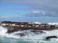 Duiker Island, Hout Bay