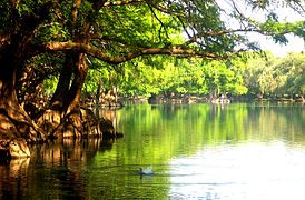 Lago de Camécuaro Humid subtropical climate (Cwa)