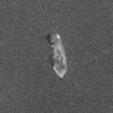 An aerial photograph of a small island overgrown with vegetation