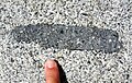 Gabbro as a xenolith in a granite, eastern Sierra Nevada, Rock Creek Canyon, California.