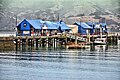 Akaroa Main Wharf