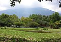 Parque del Este, Caracas.