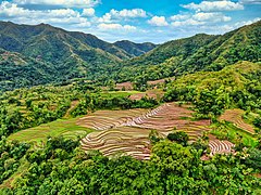 Tibiao Rice Terraces in Tibiao, Antique.