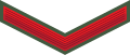 Lance corporal (Guyana Army)[29]