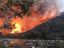 Thick gray smoke billows upward from an entire mountainside ablaze, partially reflected in a river in the foreground