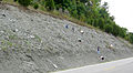 Liberty Formation (Upper Ordovician) exposed north of Brookville, Indiana.