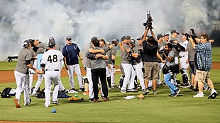 Men in baseball uniforms celebrating on a baseball field