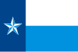 Flag of Dallas County, Texas, USA