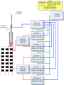 Trunked systems have groups of base stations configured as repeaters. The center blocks with frequencies in this trunked block diagram each represent a base station.