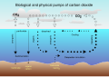 Image 37Air-sea exchange of CO2 (from Carbon dioxide in Earth's atmosphere)