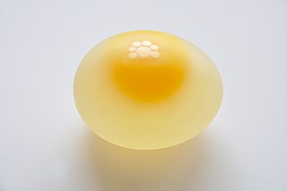 Shell-less chicken egg