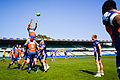 Rams win a lineout against Melbourne