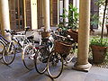 Biciclette in un cortile