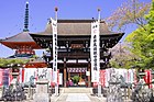 龍泉寺仁王門 （2021年4月）