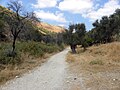 De oude weg tussen Rosh Pina en Safed