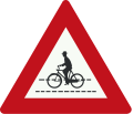 J24: Cyclist crossing