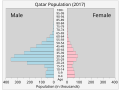 カタールの人口ピラミッド