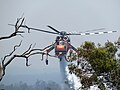 Sikorsky S-64 Aircrane Erickson Inc. Helicopter during Mount Solus group bushfire, Perth Hills, November 2015.