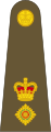 British Army (United Kingdom) (Lieutenant Colonel)