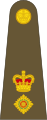 Lieutenant colonel (Regne Unit)