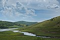 Zlatibor/Златиборски/Zlatiborski