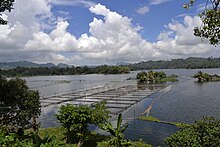 The Placid Lake of Lake Sebu.JPG