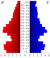 Bevolkingspiramide Benton County