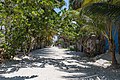 Sandy streets of Holbox