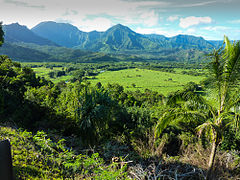 Izla Kauai Hawaii