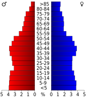 Bevolkingspiramide Hall County