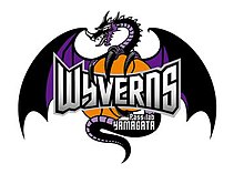 Passlab Yamagata Wyverns logo