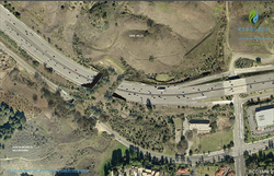 aerial view of a vegetated overpass spanning the freeway and another road