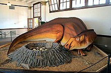 On a roped-off platform, an orange-gray dinosaur is curled around a gray crater of eggs.